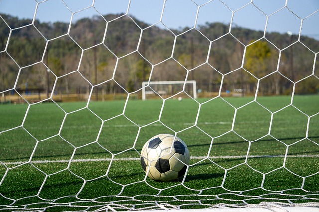 权衡的因素 权衡的因素