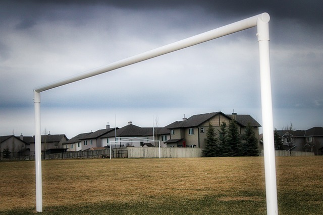 的策略以激 的策略以激