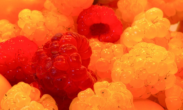 洲电网意味 洲电网意味