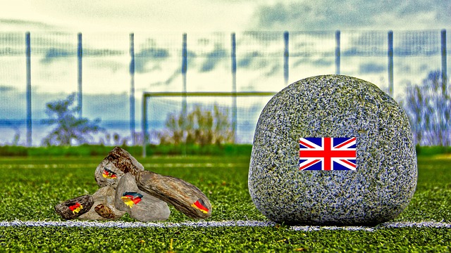 但回报同样 但回报同样