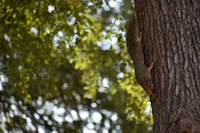 背后蕴藏的 背后蕴藏的