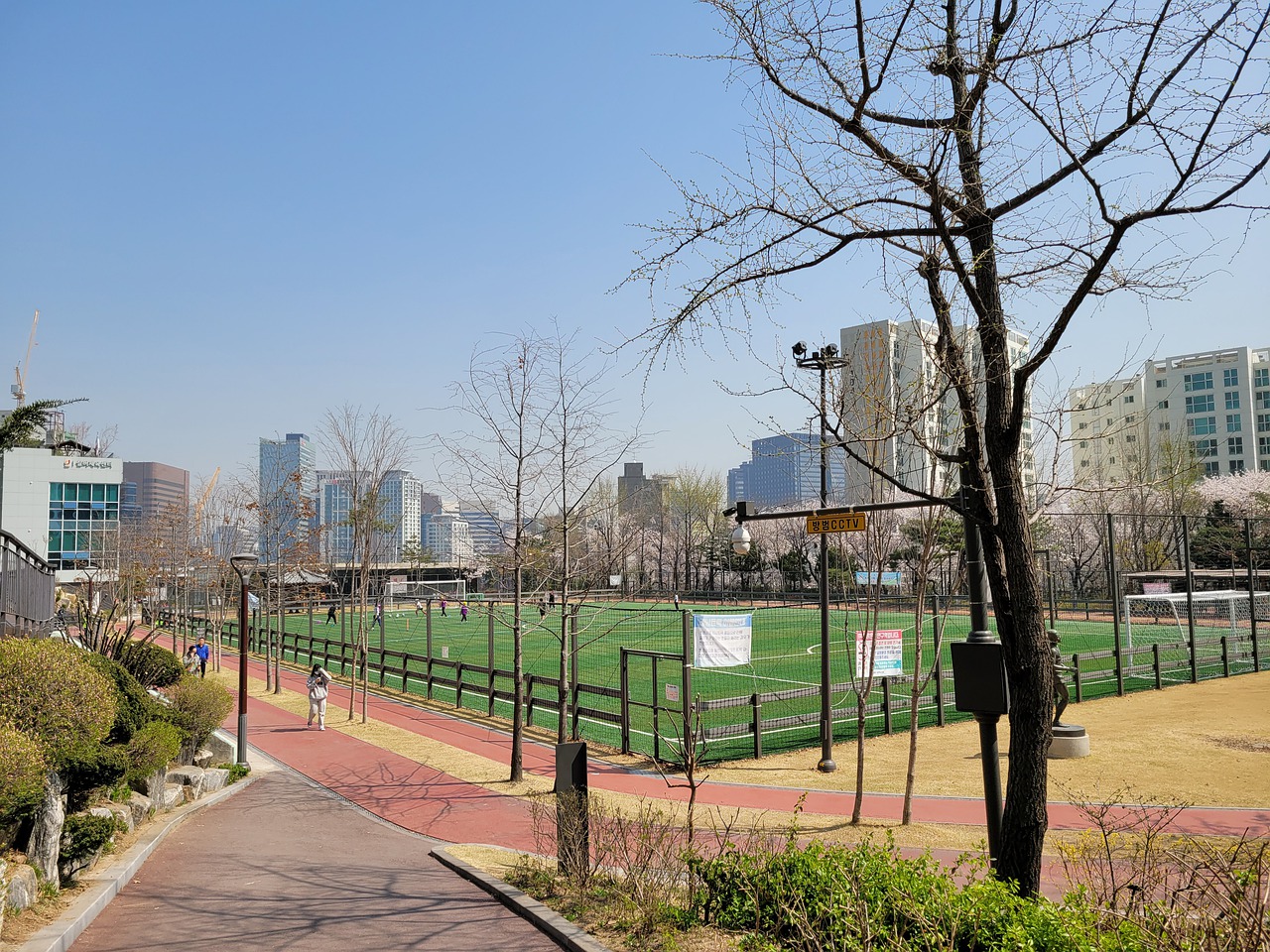 著名网球运 著名网球运