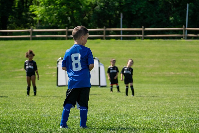 焦点将是 焦点将是