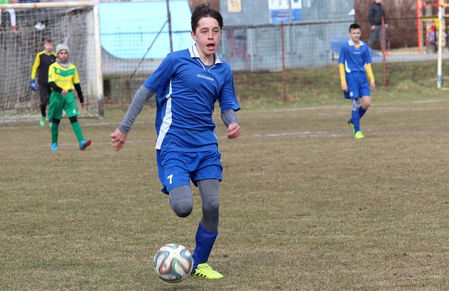 将共同决定 将共同决定